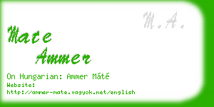mate ammer business card